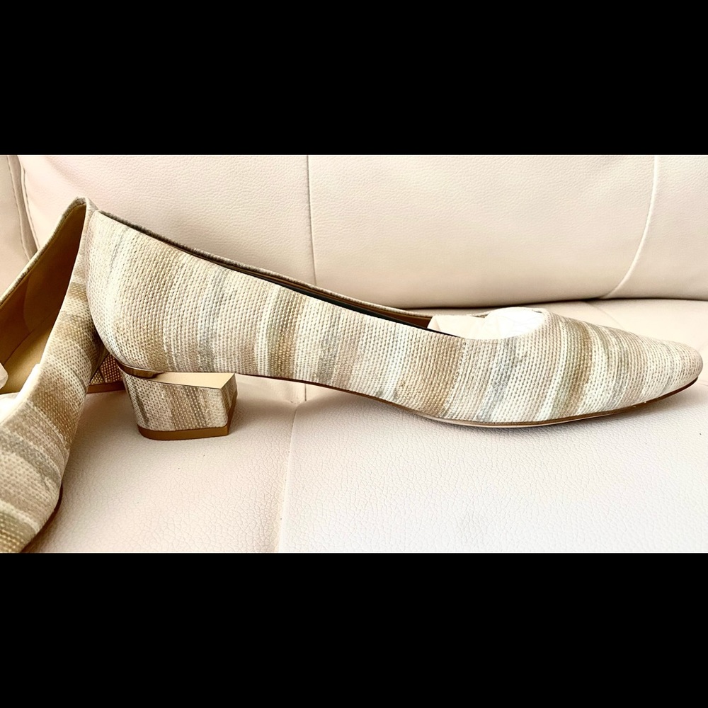 Vaneli pumps